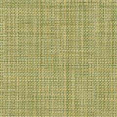 Nexus Grass